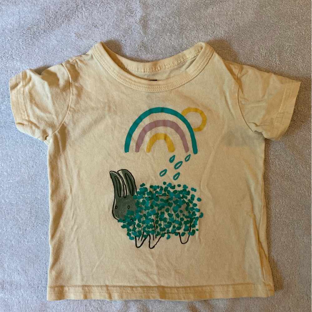Tea Collection 9-12 months Bunny Graphic T-Shirt